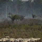 Chaque année, la combustion des énergies fossiles et, dans une bien moindre mesure, la déforestation, émettent environ 40 milliards de tonnes de CO2, principal facteur de réchauffement de la planète.